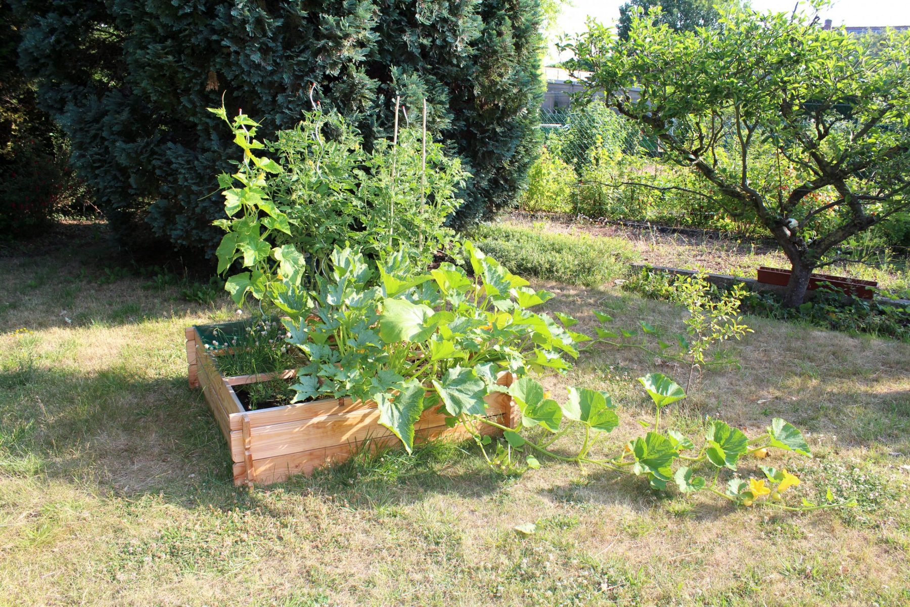 Regenerative Agriculture is More than Just a Buzzword